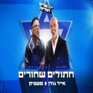 חתולים שחורים